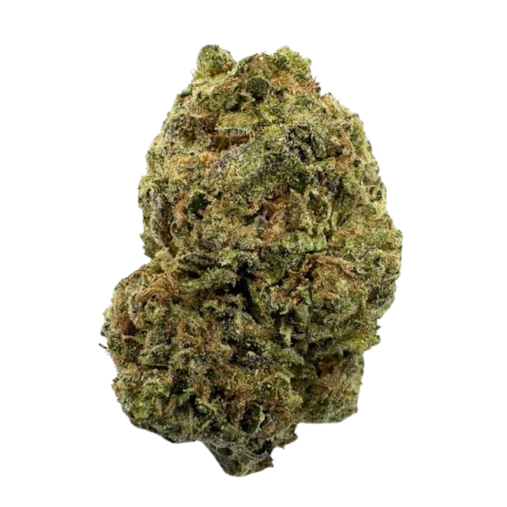 Hybrid Flower